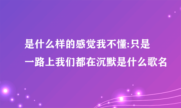 是什么样的感觉我不懂:只是一路上我们都在沉默是什么歌名