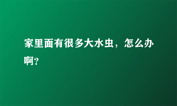 家里面有很多大水虫，怎么办啊？