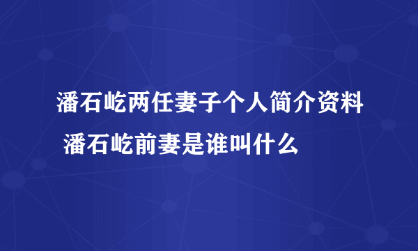 潘石屹两任妻子个人简介资料 潘石屹前妻是谁叫什么