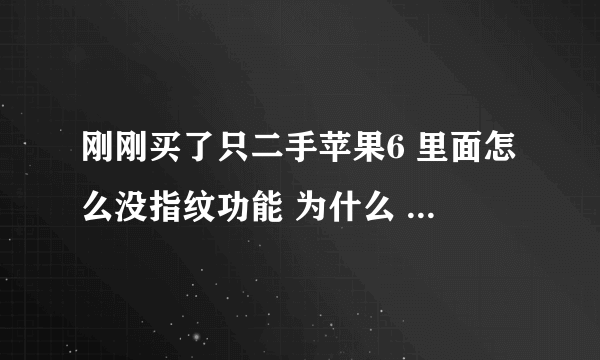 刚刚买了只二手苹果6 里面怎么没指纹功能 为什么 去找卖家他说原本就没有的