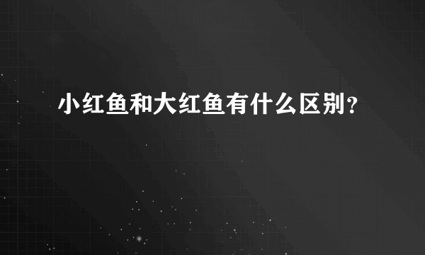 小红鱼和大红鱼有什么区别？