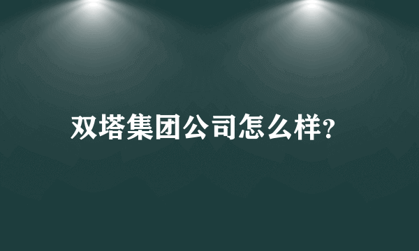 双塔集团公司怎么样？