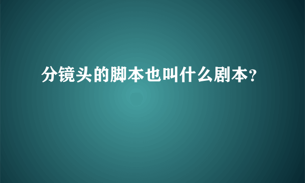 分镜头的脚本也叫什么剧本？