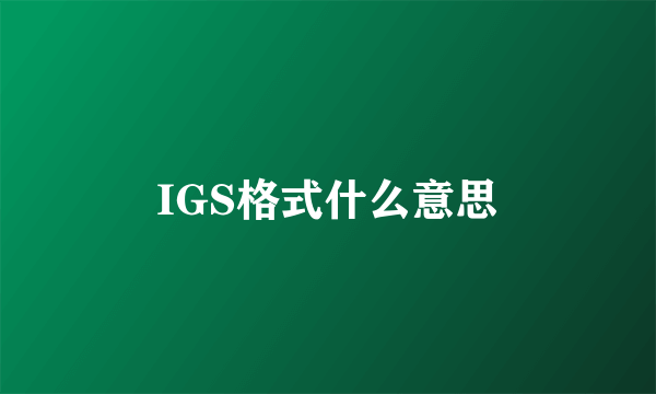 IGS格式什么意思