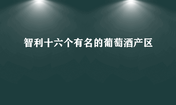 智利十六个有名的葡萄酒产区