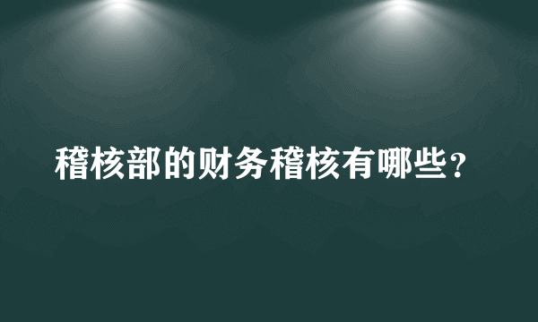 稽核部的财务稽核有哪些？