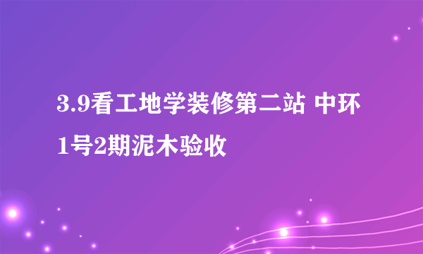 3.9看工地学装修第二站 中环1号2期泥木验收