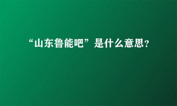 “山东鲁能吧”是什么意思？