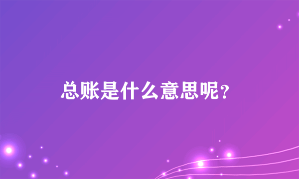 总账是什么意思呢？