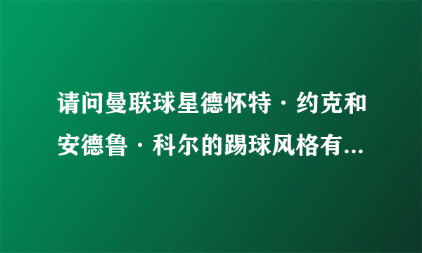 请问曼联球星德怀特·约克和安德鲁·科尔的踢球风格有何异同？