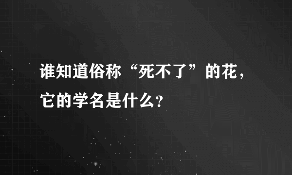 谁知道俗称“死不了”的花，它的学名是什么？