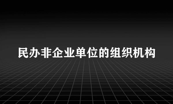 民办非企业单位的组织机构