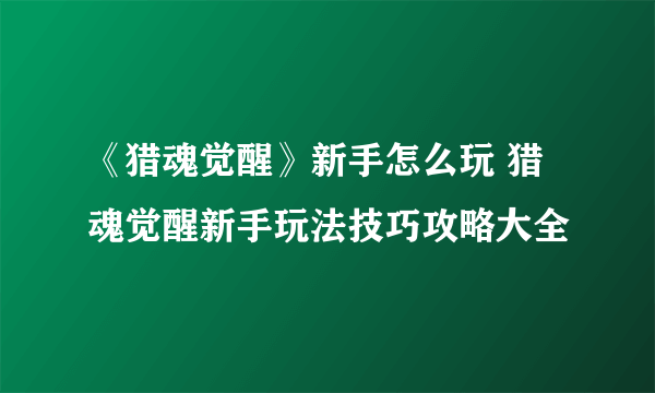 《猎魂觉醒》新手怎么玩 猎魂觉醒新手玩法技巧攻略大全