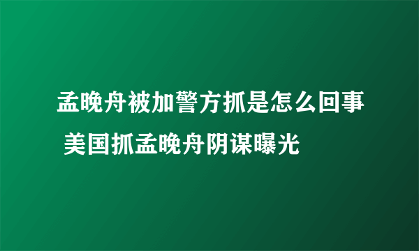 孟晚舟被加警方抓是怎么回事 美国抓孟晚舟阴谋曝光