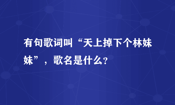 有句歌词叫“天上掉下个林妹妹”，歌名是什么？