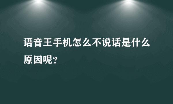 语音王手机怎么不说话是什么原因呢？