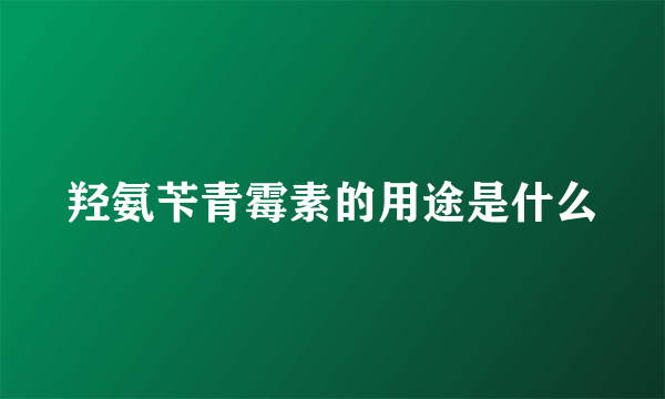 羟氨苄青霉素的用途是什么