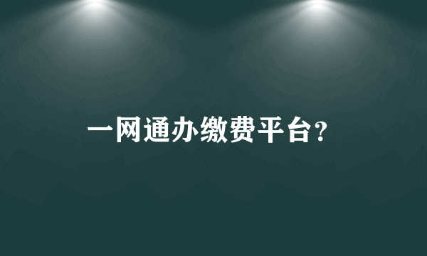 一网通办缴费平台？