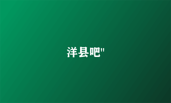 洋县吧