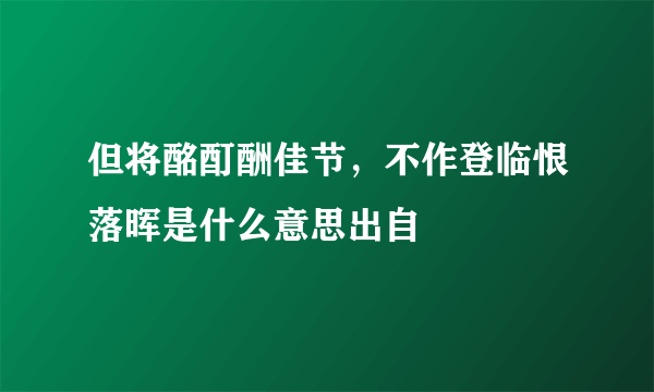 但将酩酊酬佳节，不作登临恨落晖是什么意思出自