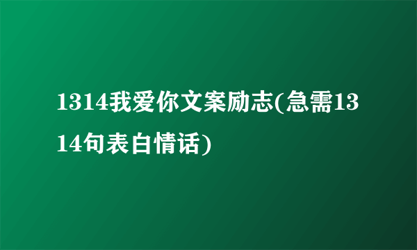 1314我爱你文案励志(急需1314句表白情话)