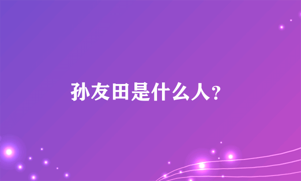 孙友田是什么人？