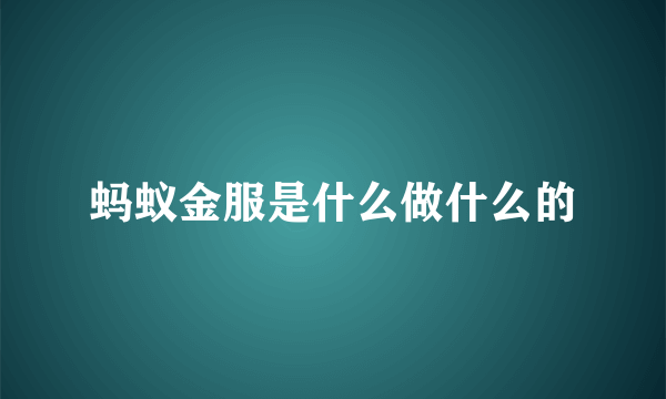 蚂蚁金服是什么做什么的