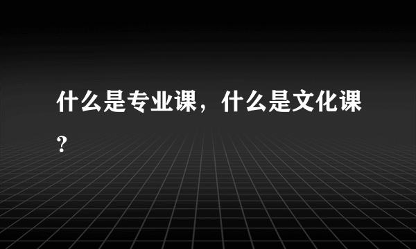 什么是专业课，什么是文化课？