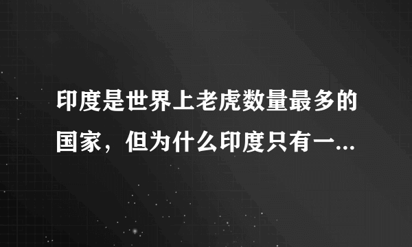 印度是世界上老虎数量最多的国家，但为什么印度只有一种老虎？