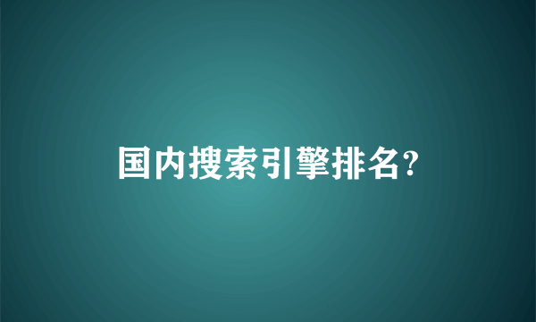 国内搜索引擎排名?