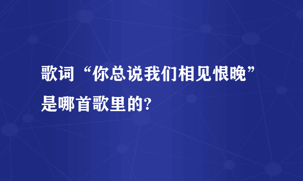 歌词“你总说我们相见恨晚”是哪首歌里的?