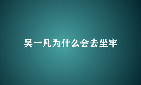 吴一凡为什么会去坐牢