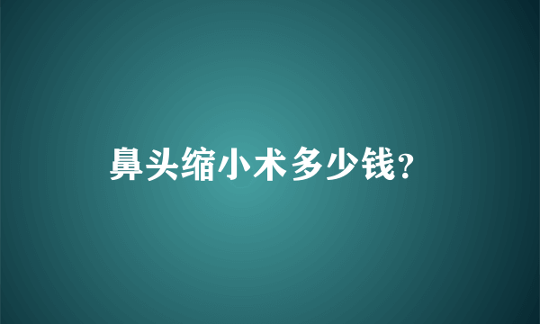 鼻头缩小术多少钱？