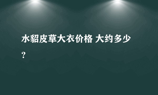 水貂皮草大衣价格 大约多少？