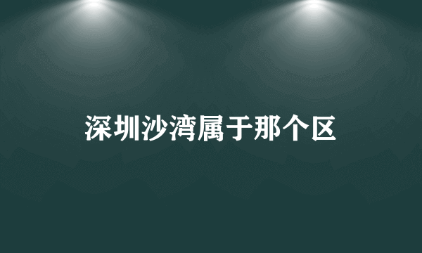 深圳沙湾属于那个区