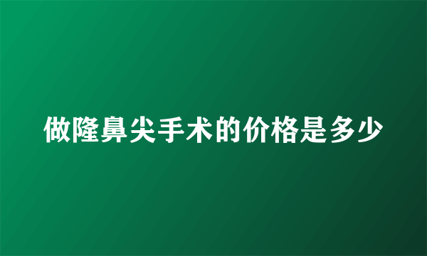 做隆鼻尖手术的价格是多少