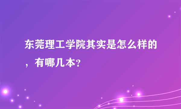 东莞理工学院其实是怎么样的，有哪几本？