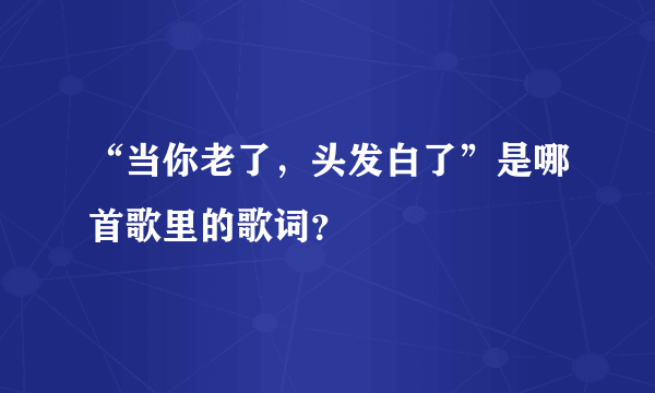 “当你老了，头发白了”是哪首歌里的歌词？