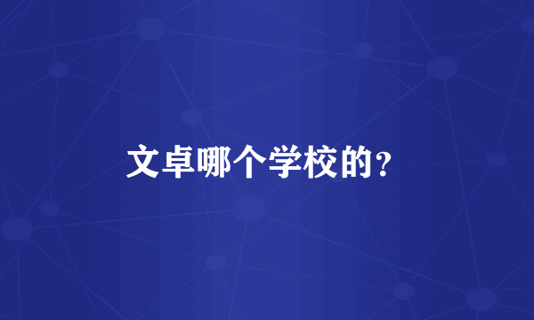 文卓哪个学校的？