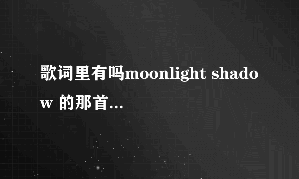 歌词里有吗moonlight shadow 的那首歌叫什么，我要下