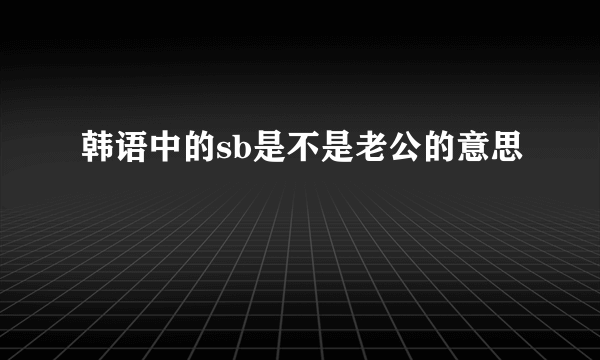 韩语中的sb是不是老公的意思