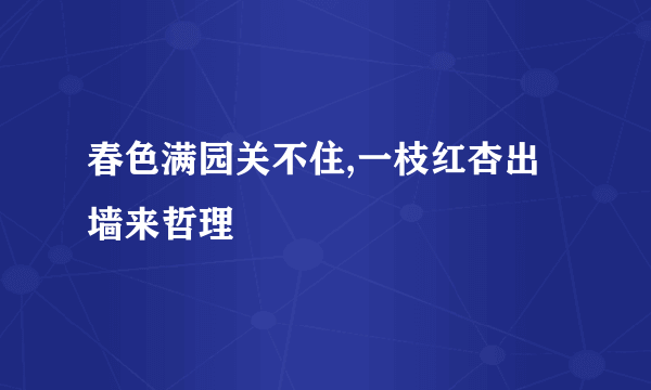 春色满园关不住,一枝红杏出墙来哲理