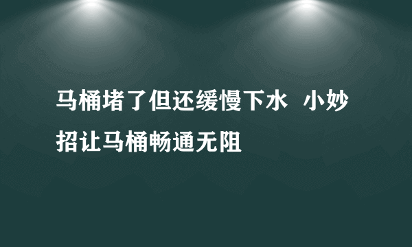 马桶堵了但还缓慢下水  小妙招让马桶畅通无阻