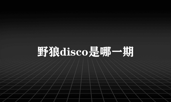 野狼disco是哪一期