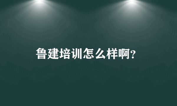 鲁建培训怎么样啊？