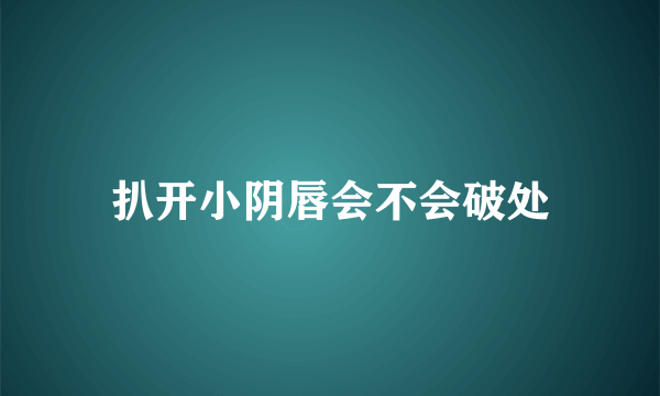 扒开小阴唇会不会破处