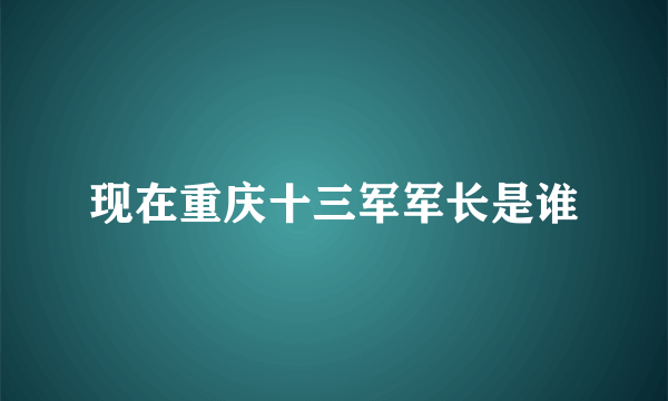 现在重庆十三军军长是谁