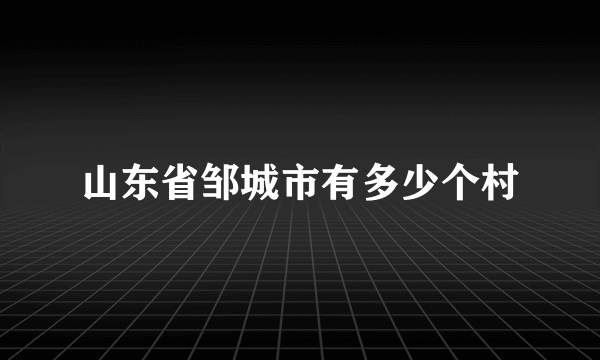 山东省邹城市有多少个村