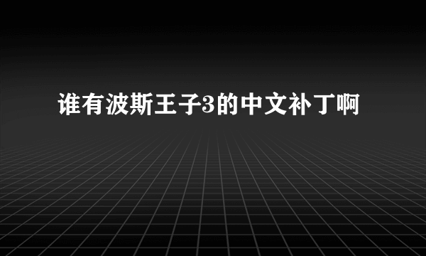 谁有波斯王子3的中文补丁啊