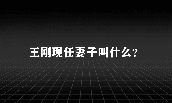 王刚现任妻子叫什么？